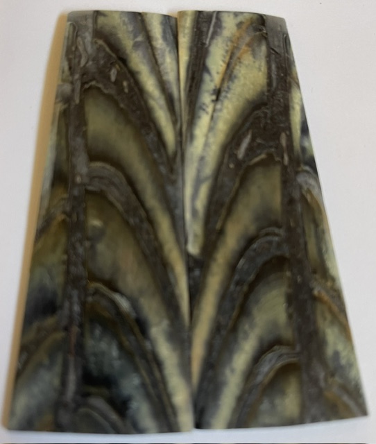 Parallel cut mammoth scales        3-5/16 X 1 X 1/16