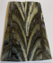 Parallel cut mammoth scales        3-5/16 X 1 X 1/16