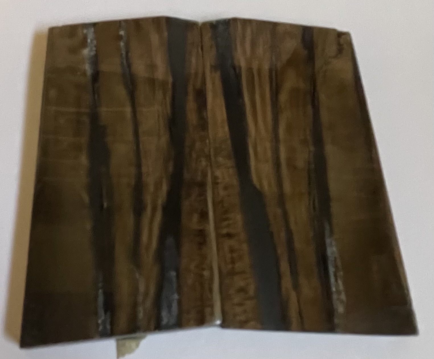 Parallel cut mammoth scales       2-3/8 X 1-3/16 x 1/8