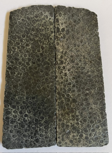 FOSSIL CORAL SCALES            4-1/16 X 1-3/8 X 1/8