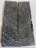 FOSSIL CORAL SCALES         3-13/16 X 1-1/16 X 1/8