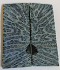 FOSSIL CORAL SCALES         3-7/16 X 1-3/8 X 1/8