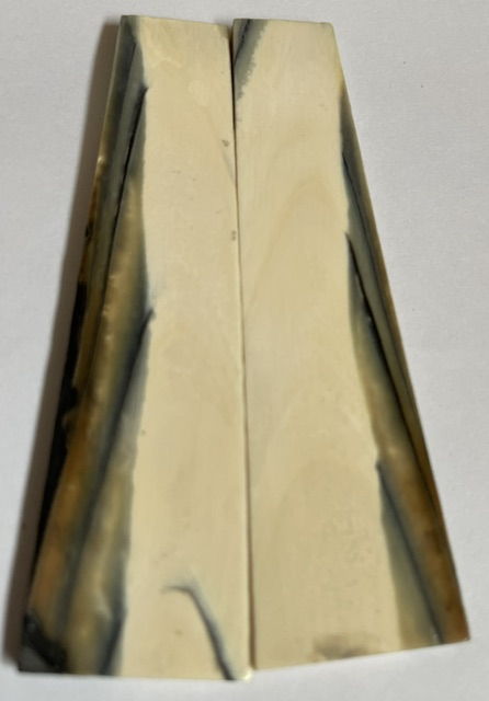 Parallel cut mammoth scales        3-15/16 X 3/4 X 1/8