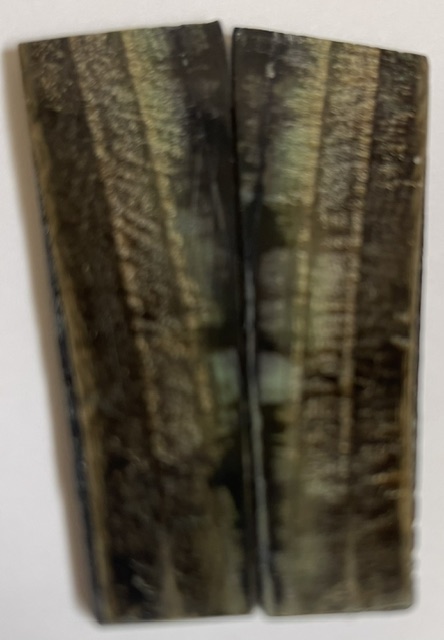 Parallel cut mammoth scales        2-15/16 X 1-11/16 X 1/16