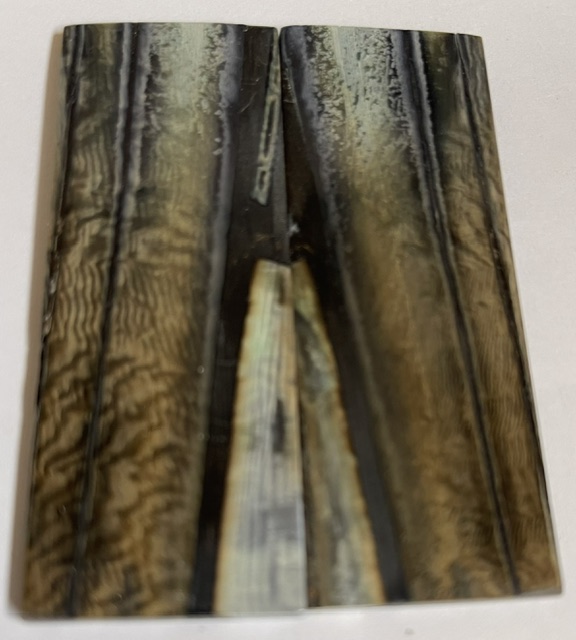 Parallel cut mammoth scales        3-3/16 X 1-3/16 X 1/8