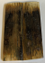  MAMMOTH IVORY SCALES         4-1/4 X 1-1/4 X 1/4