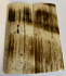  MAMMOTH IVORY SCALES       3-1/4 X 1-3/16 X 5/32