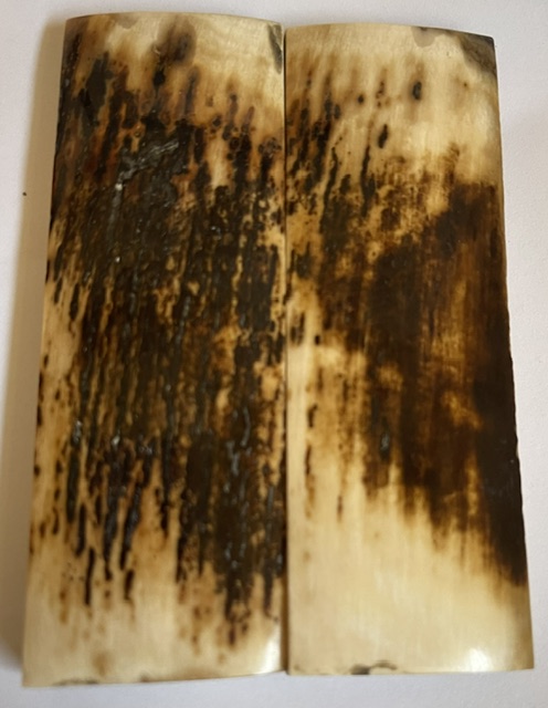  MAMMOTH IVORY SCALES           3-5/8 X 1-1/4 X 1/4