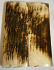  MAMMOTH IVORY SCALES           3-5/8 X 1-1/4 X 1/4