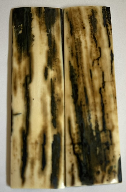  MAMMOTH IVORY SCALES         3-1/8 X 7/8 X 1/8