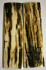  MAMMOTH IVORY SCALES         3-1/8 X 7/8 X 1/8