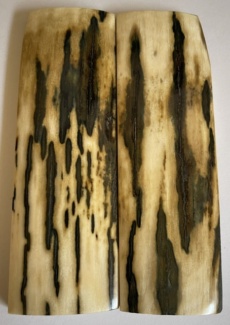  MAMMOTH IVORY SCALES        4-7/8 X 1-1/2 X 1/4