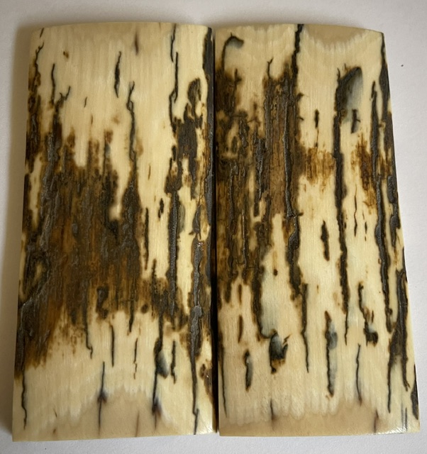  MAMMOTH IVORY SCALES        4-5/16 X 1-15/16 X 1/4