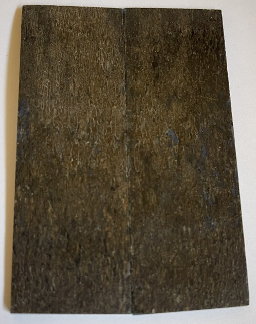 MAMMOTH BONE    3-5/8 X 1-1/4 X 1/16