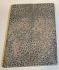 FOSSIL CORAL SCALES              4-11/16 X 1-5/8 X 1/8