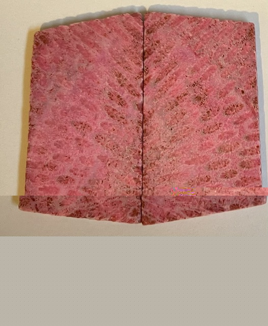 FOSSIL CORAL SCALES           3-1/8 X 1-5/16 X 1/8