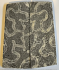 FOSSIL CORAL SCALES           4-1/2 X 1-5/8 X 1/4