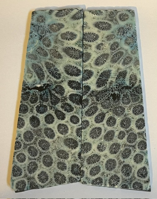 FOSSIL CORAL SCALES           4 X 1-1/4 X 1/8