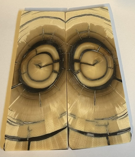 END GRAIN CUT MAMMOTH IVORY     3-11/16 X 1-1/4 to 1-5/16 X 1/8