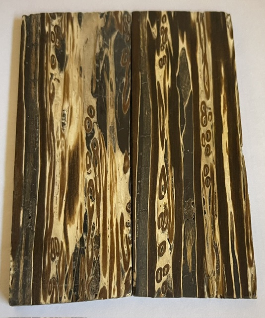 Fernwood           3-5/8 X 1-5/16 X 1/8