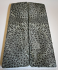 FOSSIL CORAL SCALES         5 X 1-7/16 to 1-9/16 X 3/16