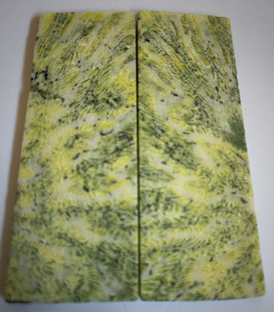 FOSSIL CORAL SCALES        3-5/16 X 1-3/16 X 1/8