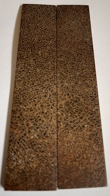 MAMMOTH BONE       4-5/8 X 15/16 X 1/8