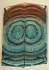 END GRAIN CUT MAMMOTH IVORY        3-5/8 X 1-1/4 X 1/8