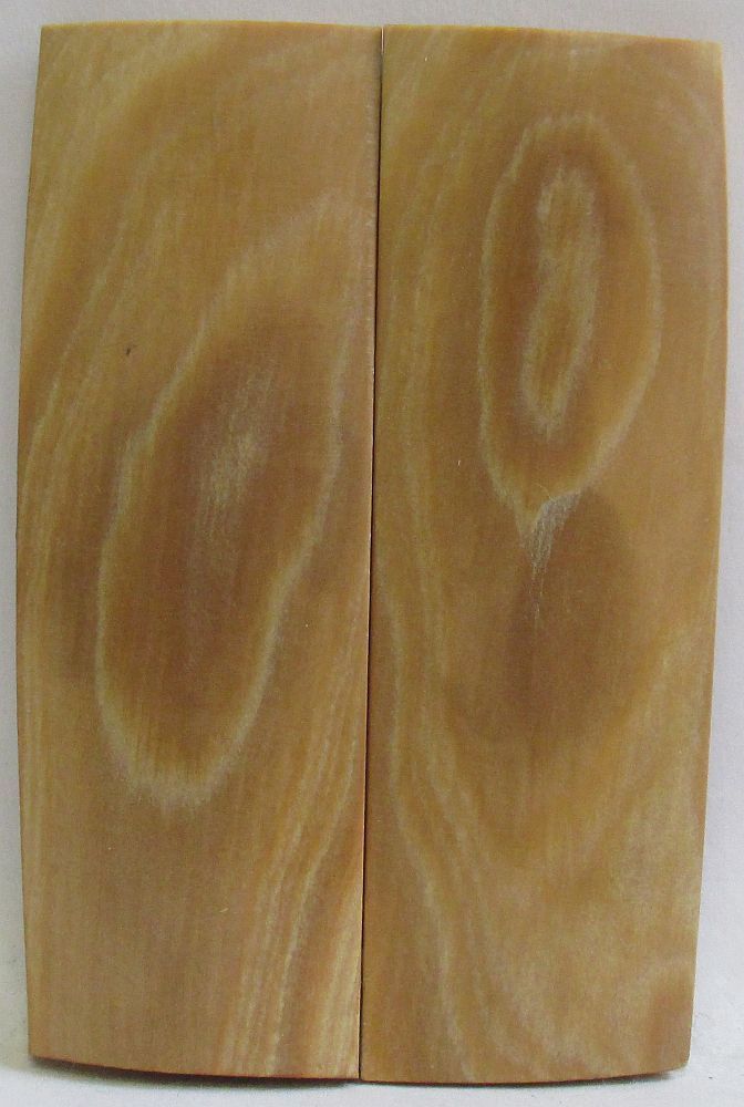 MAMMOTH IVORY SCALES 2-5/8 x 3/4 to 7/8 x 1/8