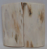 MAMMOTH IVORY SCALES 2-9/16 to 2-3/4 x 1-5/16 x 5/32