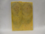 FOSSIL CORAL SCALES      4-11/16 X 1-11/16 x 3/16
