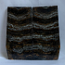 MAMMOTH TOOTH                 3-3/16 X 1-9/16 X 1/16