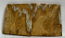 MAMMOTH TOOTH                  2-1/8 X 2 X 5/32
