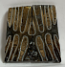 MAMMOTH TOOTH                 1-7/8 X 7/8 X 1/8