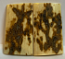  MAMMOTH IVORY SCALES    2-5/16 X 1-5/16 X 1/8