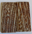 FOSSIL CORAL SCALES               2-1/2 X 1-1/8 X 1/8