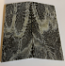 FOSSIL CORAL SCALES             3 X 1-5/16 X 1/8