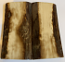  MAMMOTH IVORY SCALES           3-7/8 X 1-13/16 X 5/16