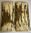  MAMMOTH IVORY SCALES        4-5/16 X 1-15/16 X 1/4