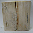 MAMMOTH IVORY SCALES 2-1/4 x 1 x 1/16