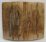 MAMMOTH IVORY SCALES     2-1/4 x 1-1/4 x 5/32