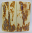 MAMMOTH IVORY SCALES 2-3/8 x 1-3/16 x 1/16